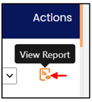 view_report